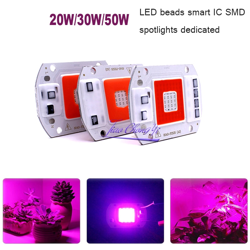 Ǯ Ʈ LED / 20W 30W 50W COB SMD Ʈ IC ƮƮ, ̹ 110/220VAC
